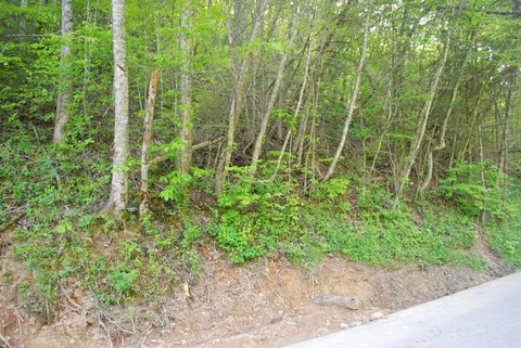 LAND - Gatlinburg, TN