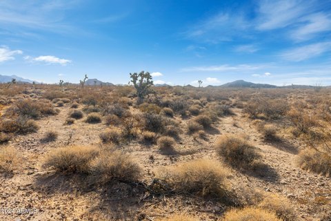 Expansive Land Parcel in Yucca