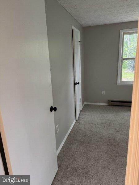 Picture 30