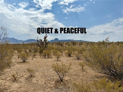 LAND - Dolan Springs, AZ
