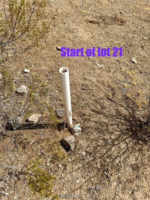 Picture 2