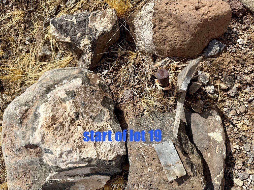 Picture 21