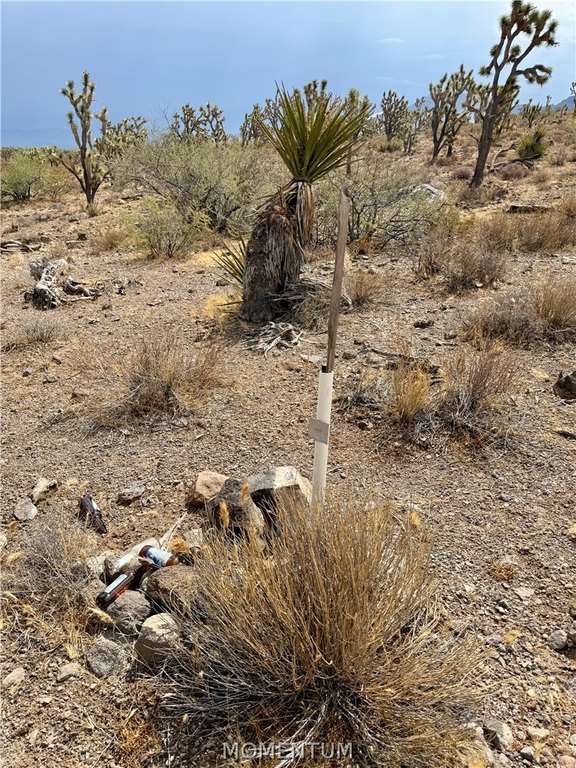 Picture 14