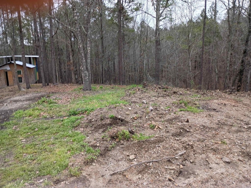 Picture 25