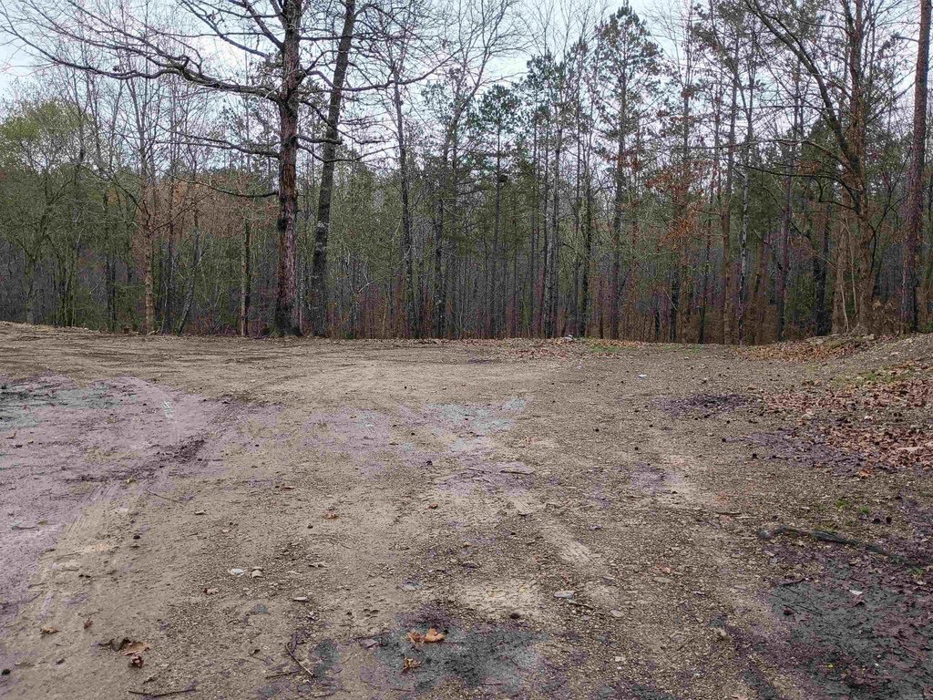 Picture 23
