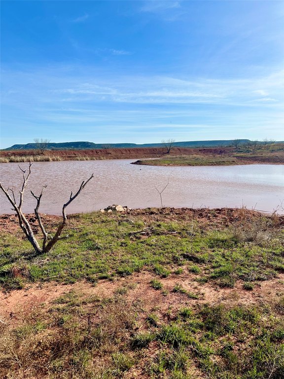 Picture 13