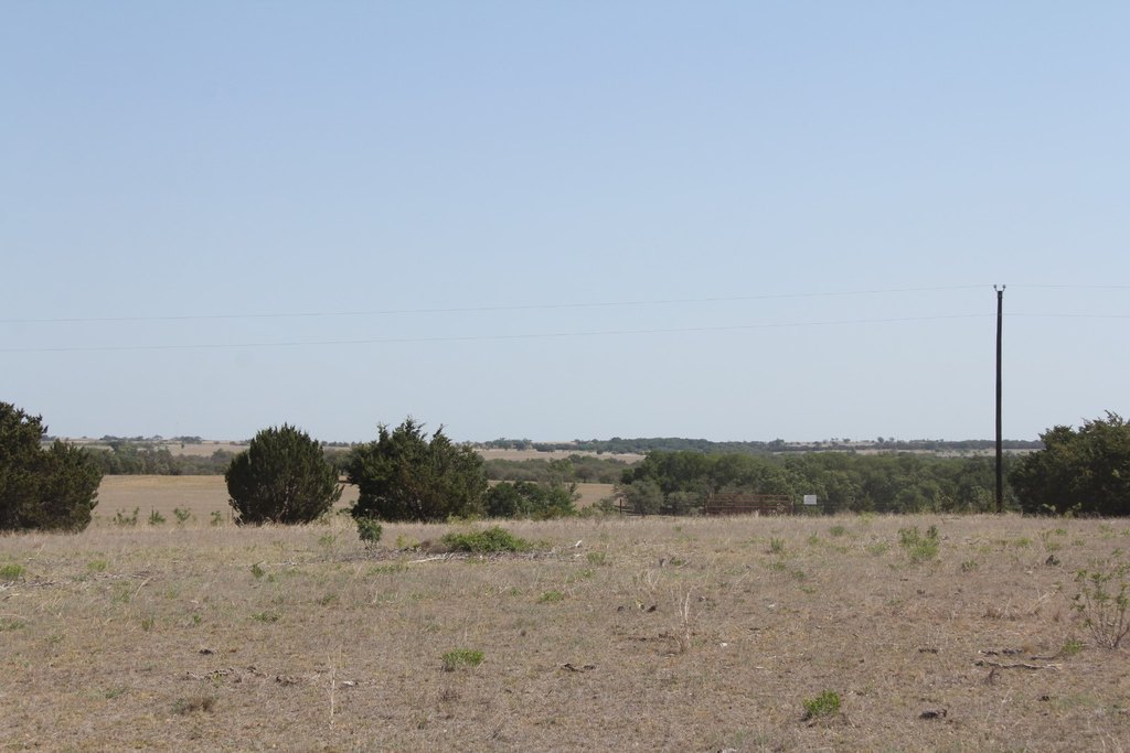 Picture 25