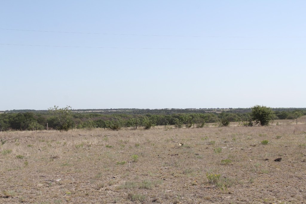 Picture 26