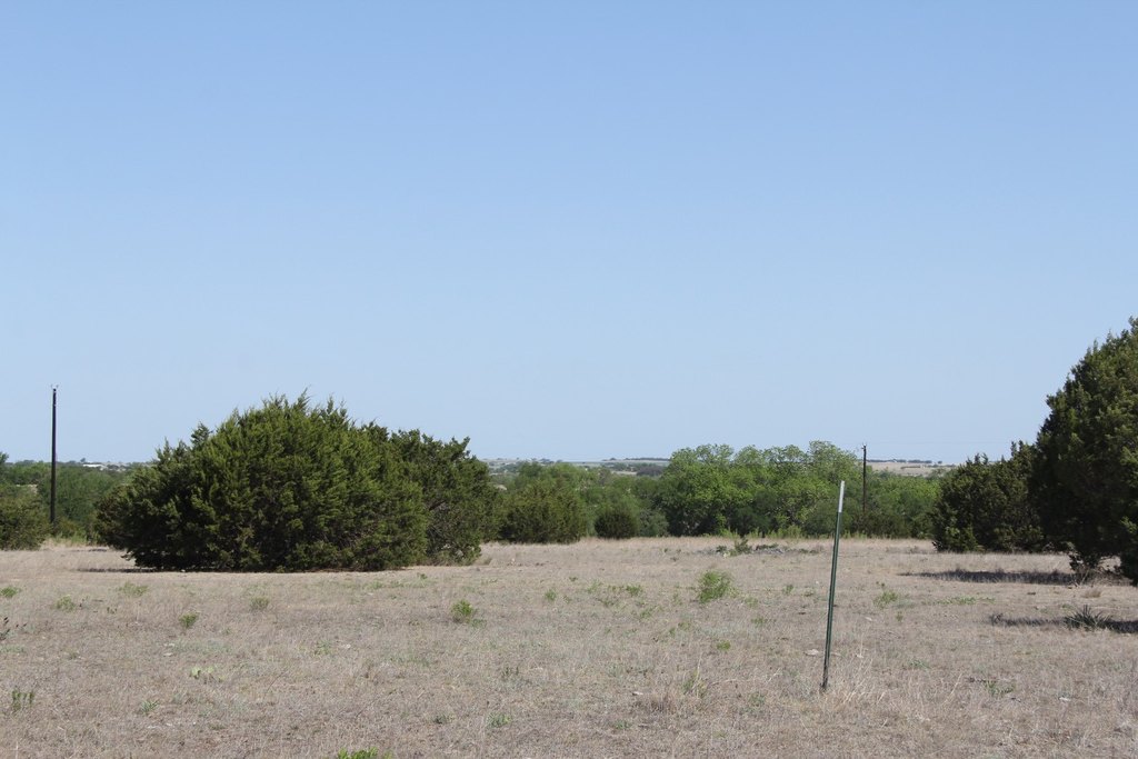 Picture 24