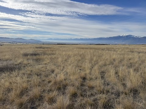 Land, Stevensville, MT