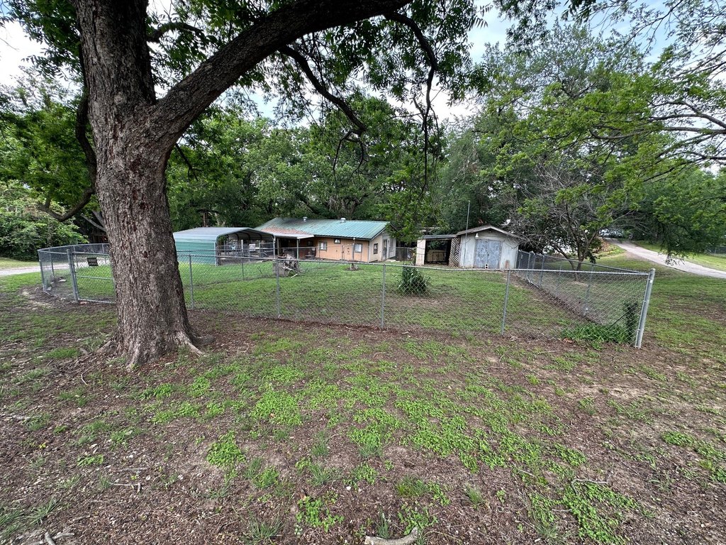 Picture 19