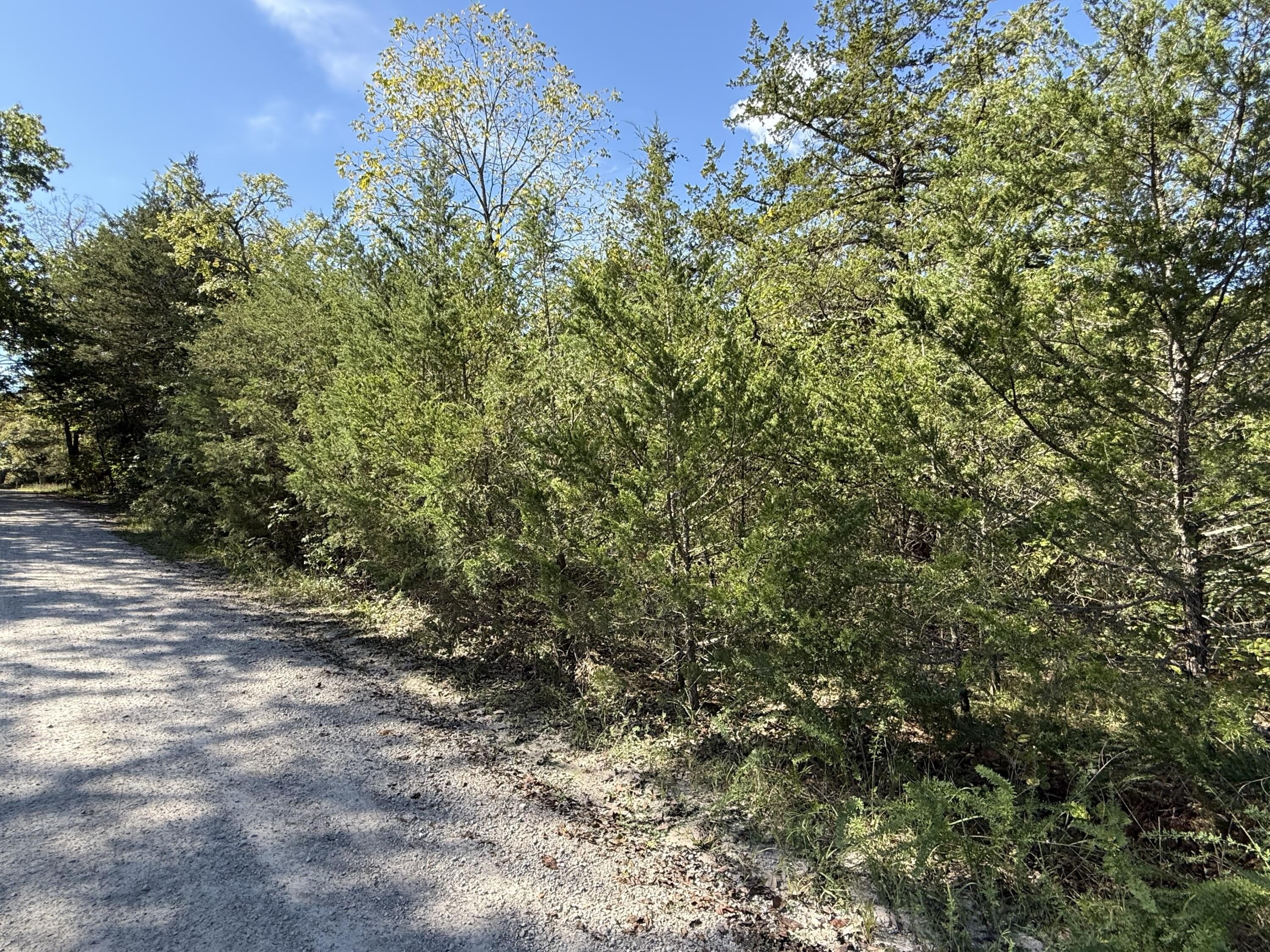 Ozarks Lakeside Land for Sale