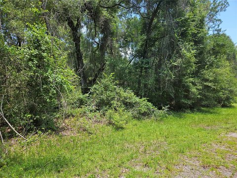 LAND - DUNNELLON, FL