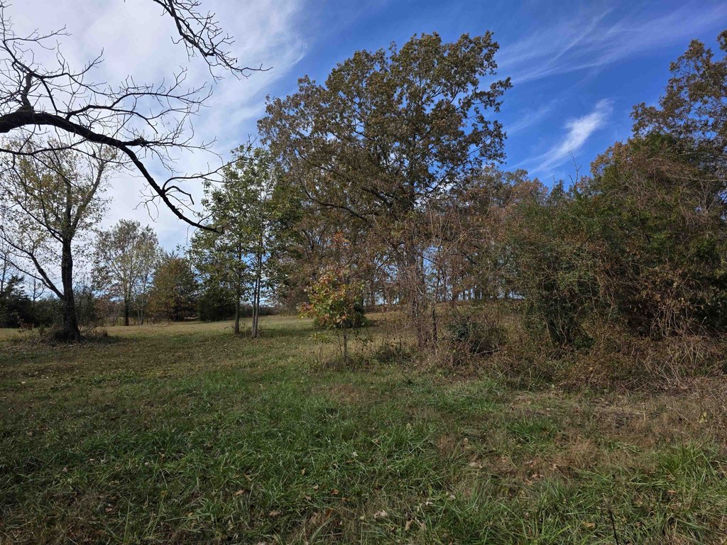 Picture 21
