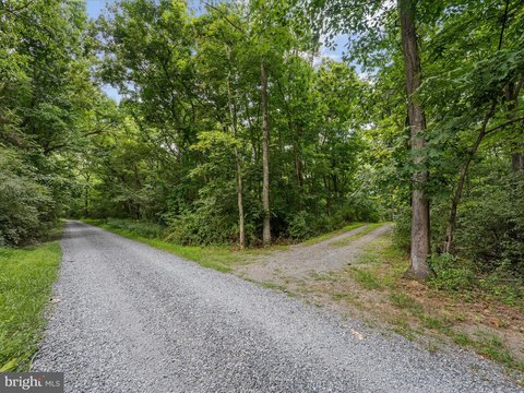 Land, BERRYVILLE, VA