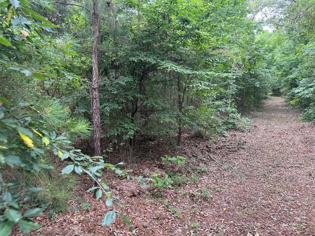 Picture 14