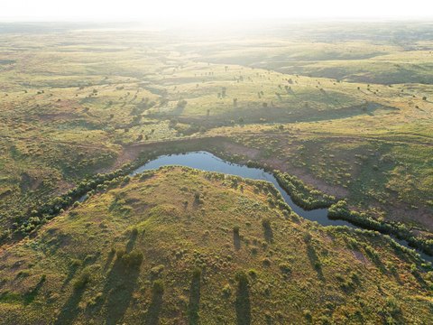 Cattle and Hunting Ranch Land