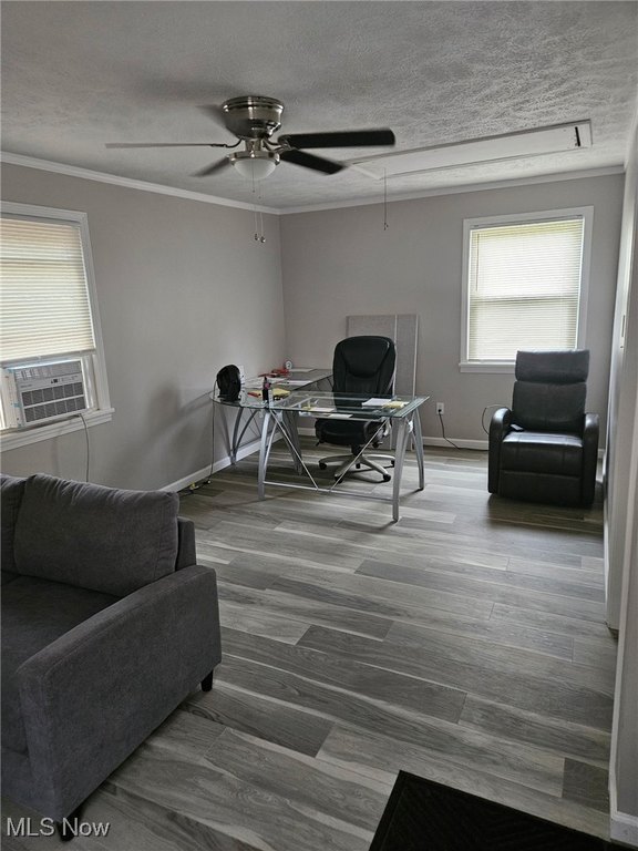 Picture 16
