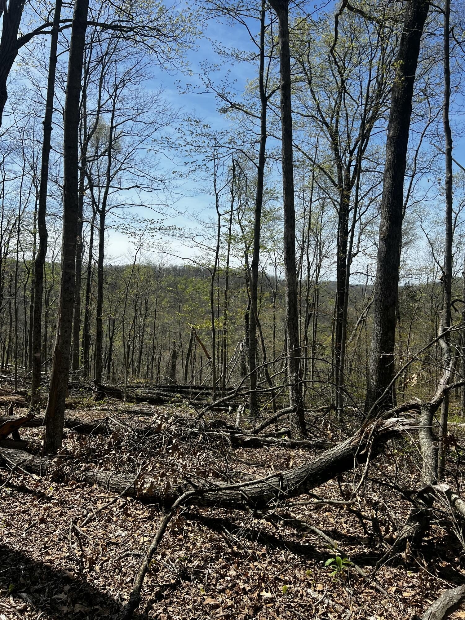Kentucky Land with Mountain Views