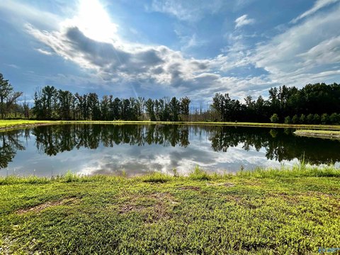 LAND - Elkmont, AL