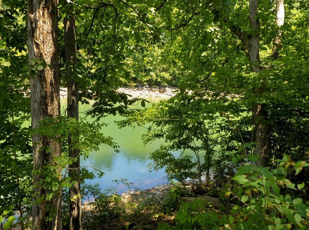 Picture 22