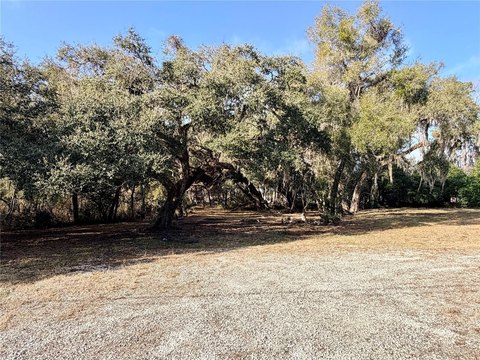 Road-Front Commercial Land