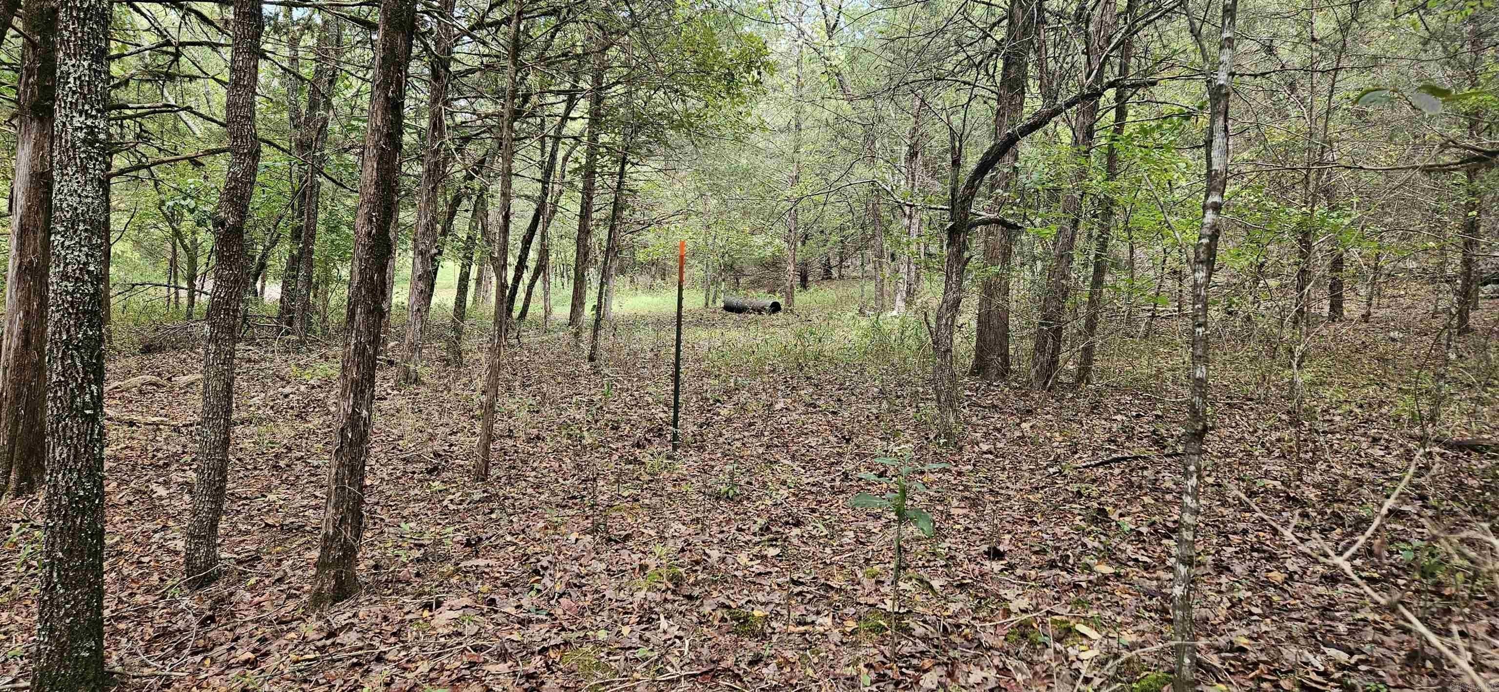 Undeveloped Land with River Views
