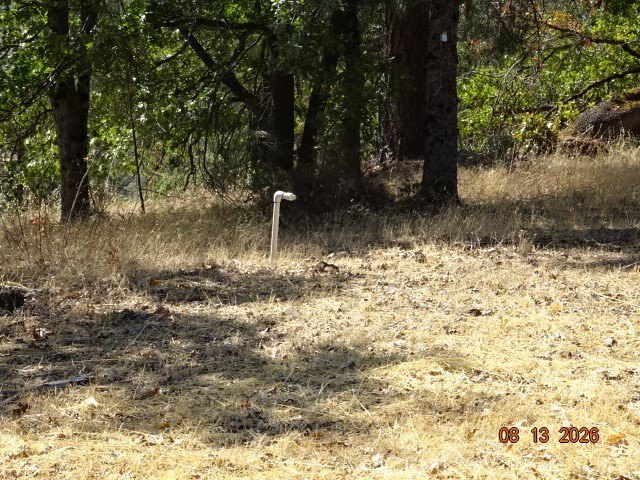 Picture 23