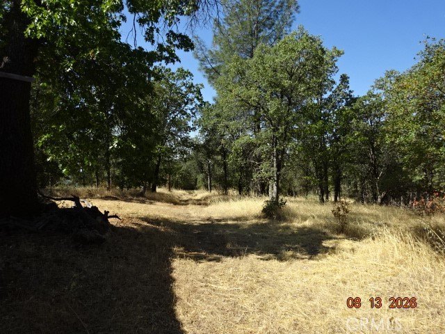 Picture 11