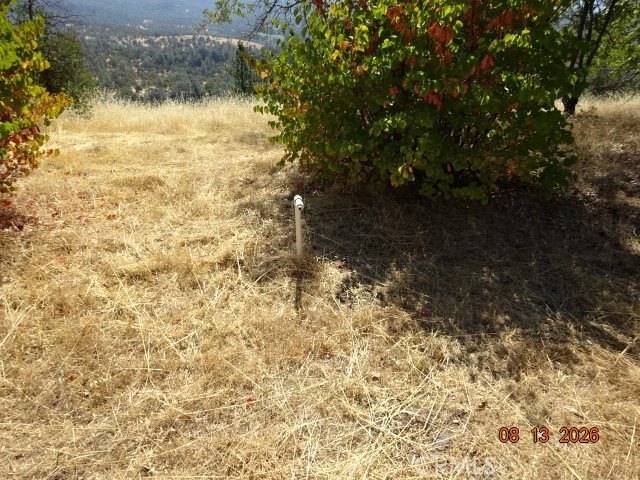 Picture 22