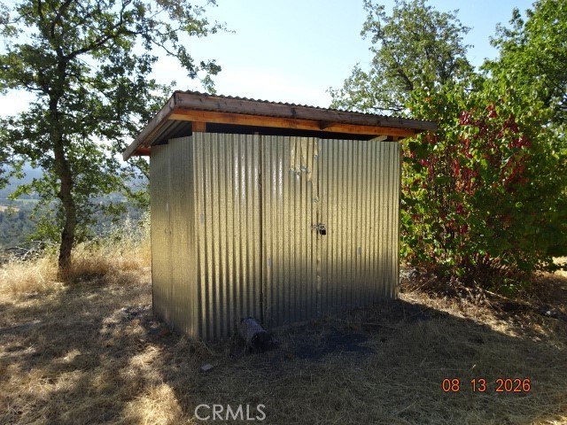 Picture 8