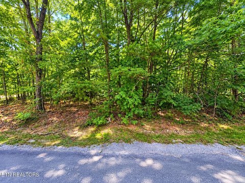 Lots & Acreage, Crossville, TN