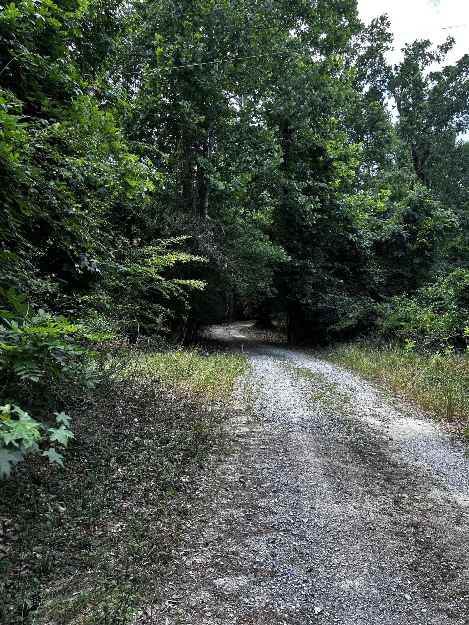 Ridgeville Land Parcel For Sale