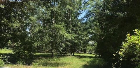 LAND - Barnwell, SC