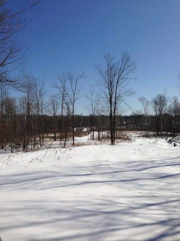 Picture 13