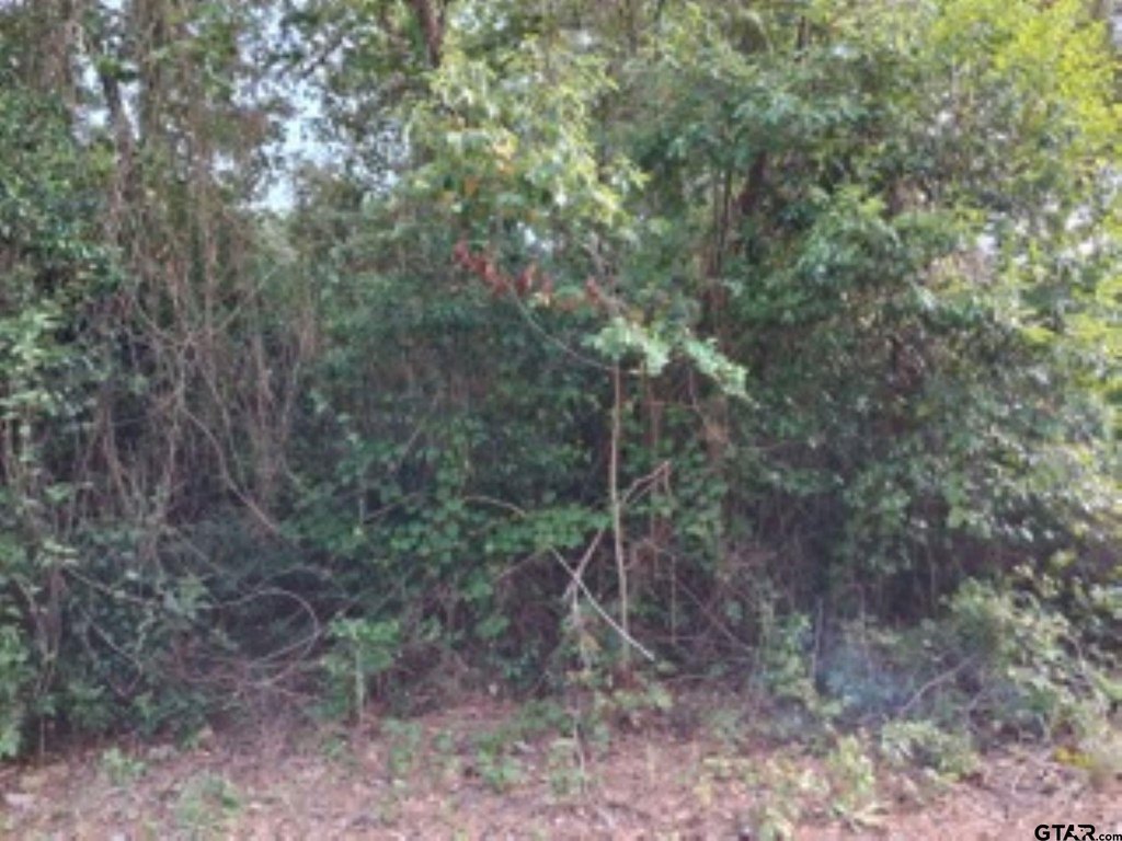 Picture 3