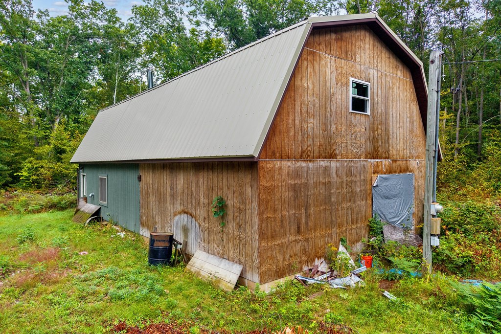 Picture 8