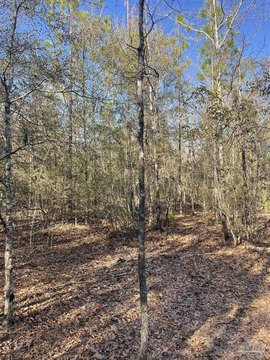 Secluded Acreage in Milton, Florida