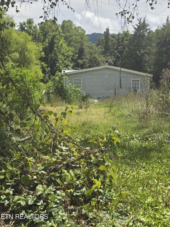 Picture 4