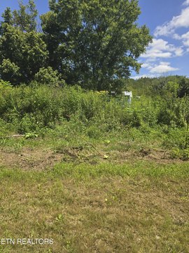 Lots & Acreage, Washburn, TN