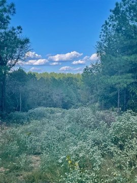 LAND - Broken Bow, OK