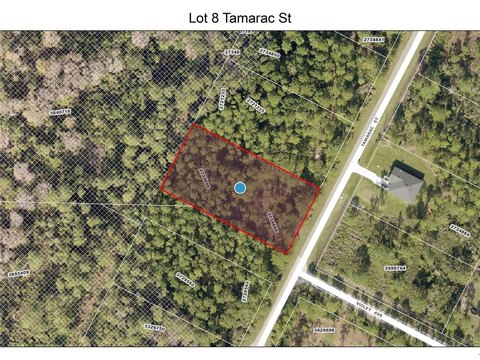 Spacious Lot in Royal Trails