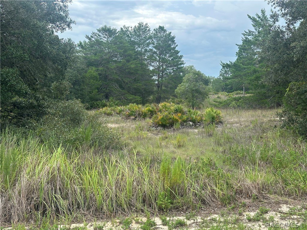 Picture 6