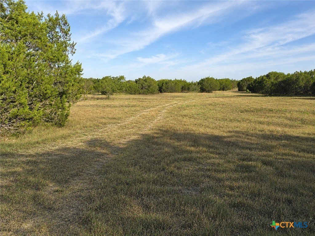 Picture 18