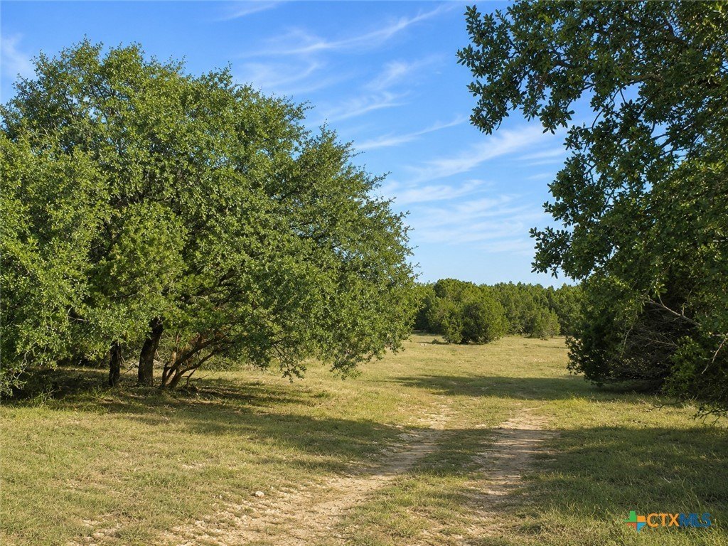 Picture 17