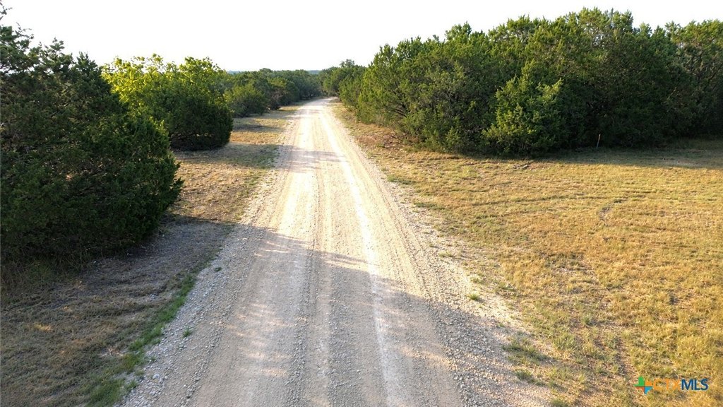 Picture 14