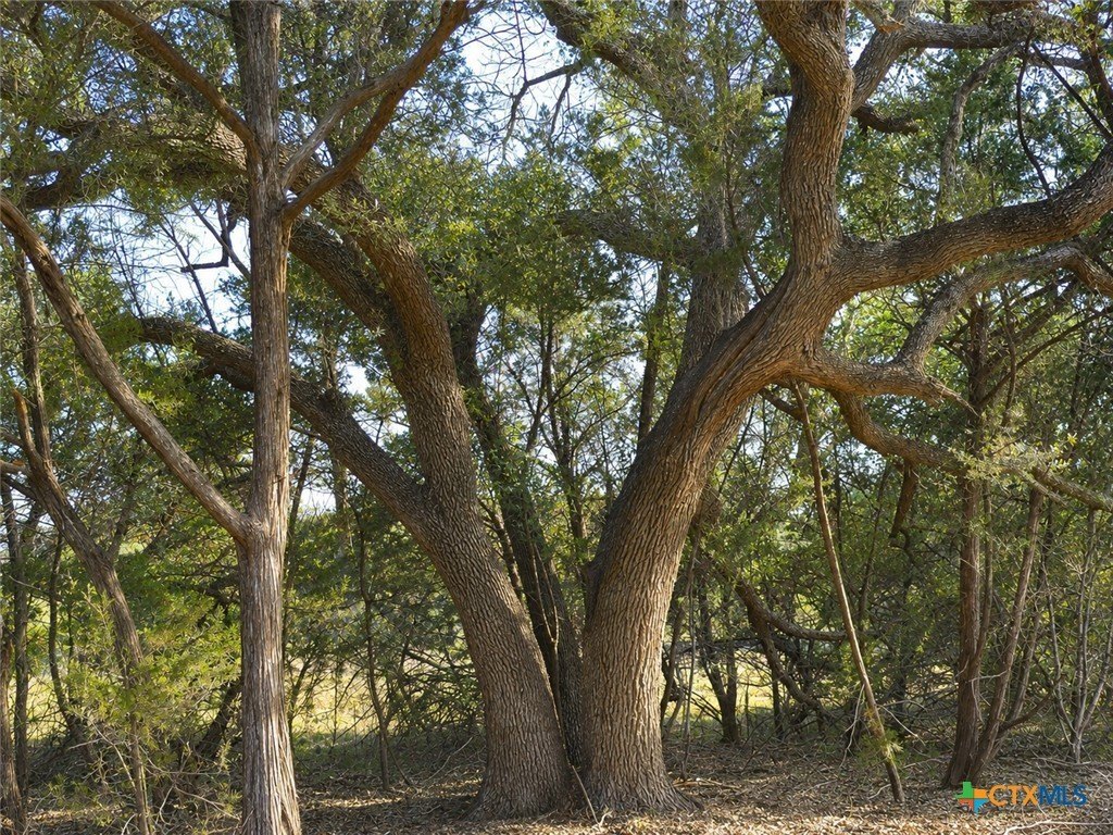 Picture 19