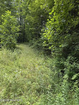 LAND - Murphy, NC