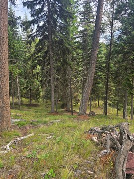 Land, Seeley Lake, MT
