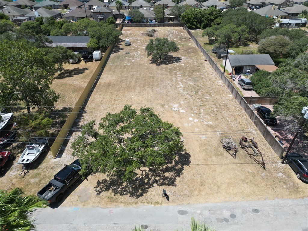 Picture 3
